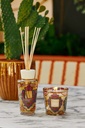 BAOBAB - Gift Box/Coffret - Mexico