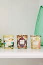 BAOBAB - Coffret TRIO TRAVEL Candles (Rio-Mexico-Miami)