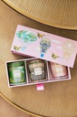 BAOBAB - Coffret TRIO TRAVEL Candles (Singapore-Athens-Paris)