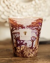 BAOBAB - Bougie SACRED TREES - Massaso