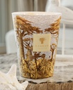 BAOBAB - Bougie SACRED TREES - Cocody
