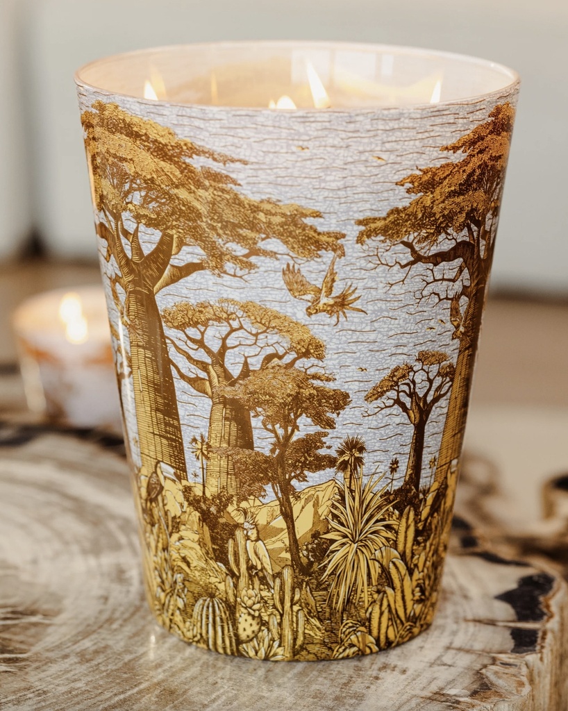 BAOBAB - Bougie SACRED TREES - Cocody