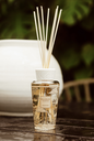 BAOBAB - MY FIRST Diffuseur 250ml - Tomorrowland 2025