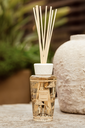 BAOBAB - MY FIRST Diffuseur 250ml - Tomorrowland 2025