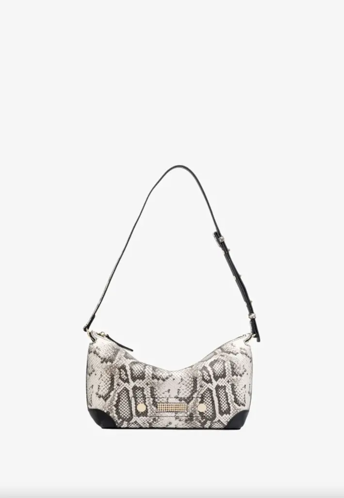 CLIO Stella PYTHON Recto.webp