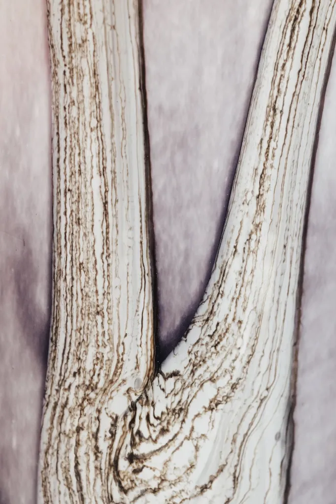 BAOBAB Bougie BROCELIANDE detail.webp