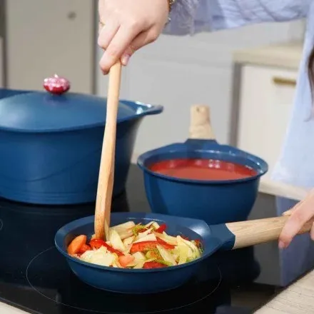 poele-16-cm (1) Grande.webp