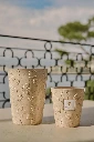 BAOBAB Bougie PAZ PALOMA Lifestyle.webp