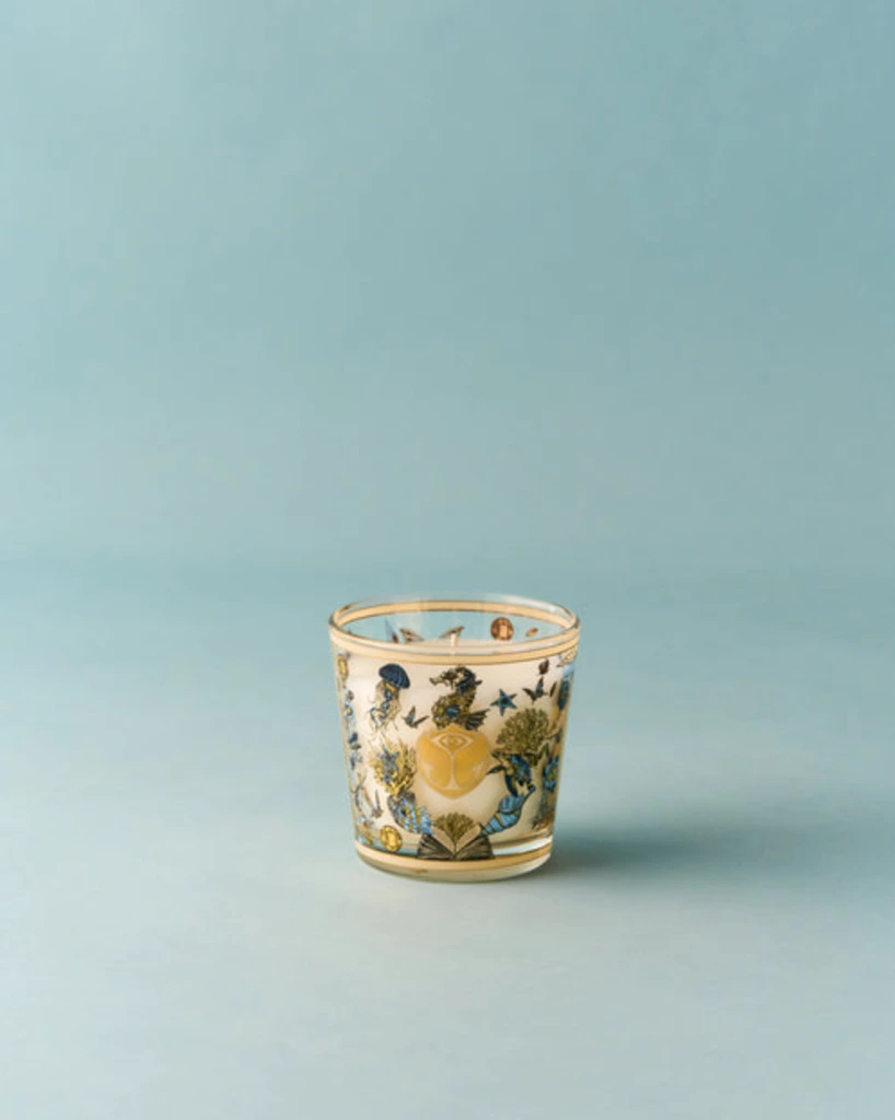 BAOBAB Bougie TOMMORLAND 2026 MAX08 Verso.webp