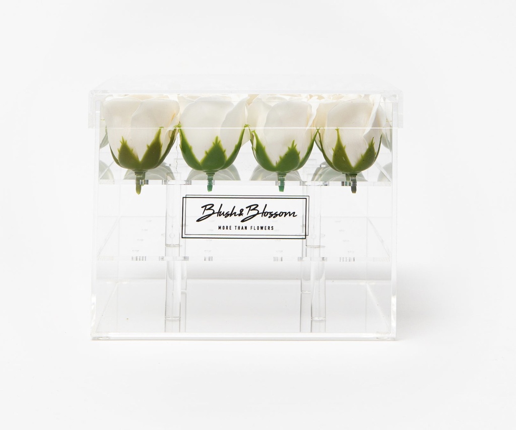 BLUSH & BLOSSOM - Coffret de Fleurs de savon CLEAR 16-Roses (Différents coloris)