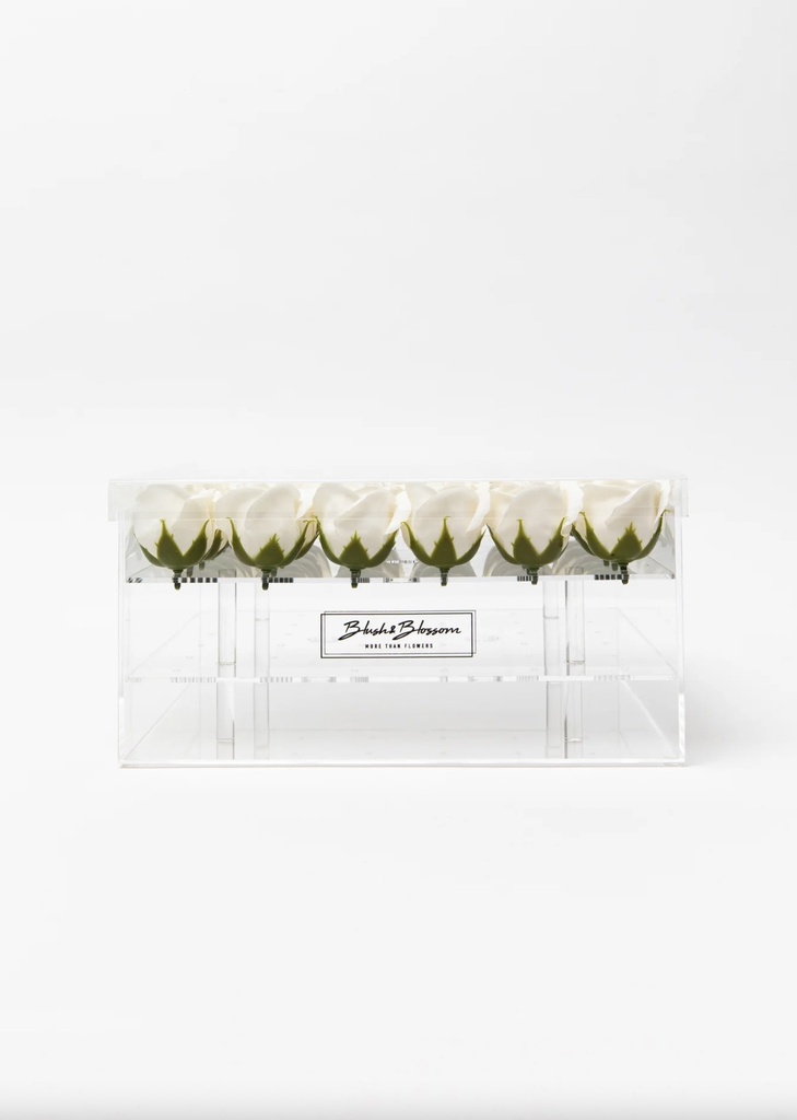 BLUSH & BLOSSOM - Coffret de Fleurs de savon CLEAR 36-Roses (Différents coloris)