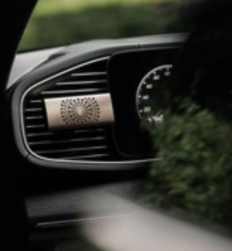 BAOBAB - Diffuseur de voiture WHITE PEARLS