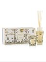 BAOBAB - Gift Box MY FIRST Tomorrowland 2025