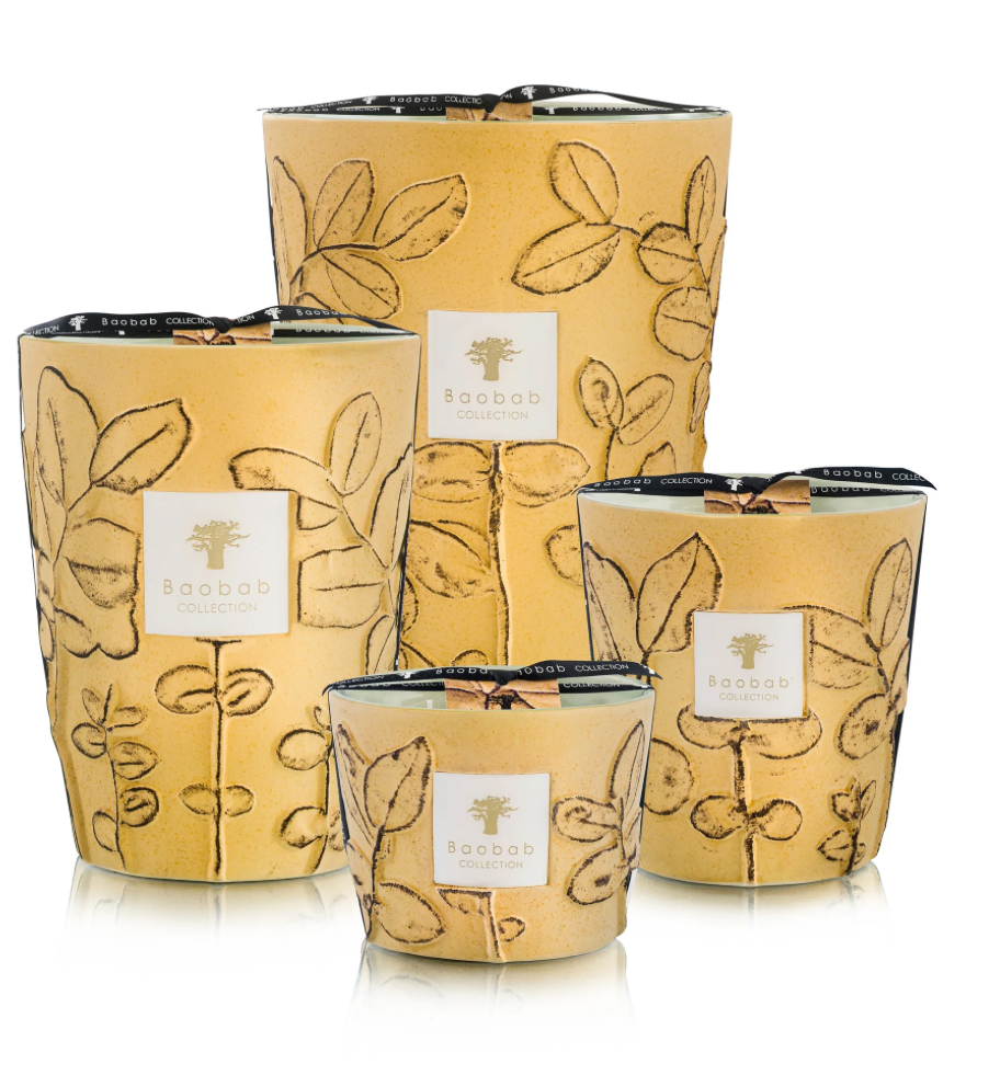 BAOBAB - Bougie parfumée FOLIA GARRIGUE