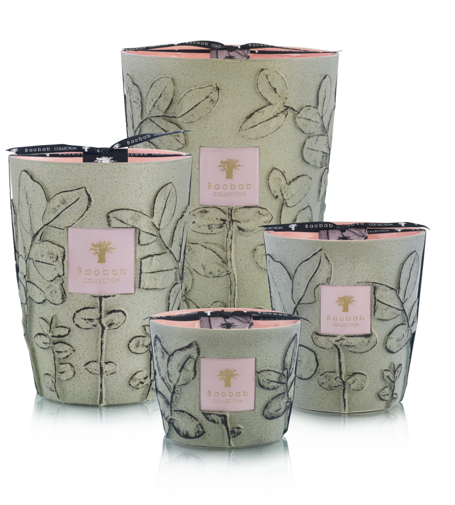 BAOBAB - Bougie parfumée FOLIA MAQUIS