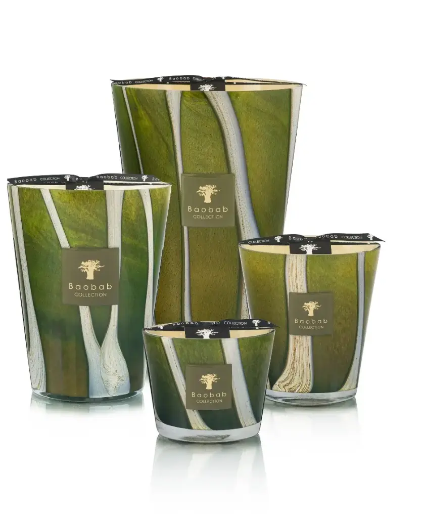 BAOBAB - Bougie WOODS Sherwood