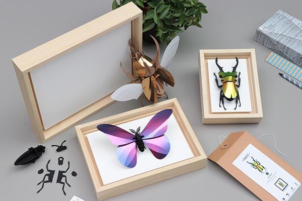 ASSEMBLI - Cadre WOODEN FRAME pour Insects