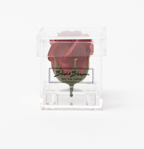 BLUSH & BLOSSOM - Coffret de Fleur de savon CLEAR 1-Rose (Différents coloris)