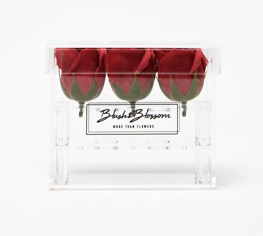 BLUSH & BLOSSOM - Coffret Clear 3 Roses