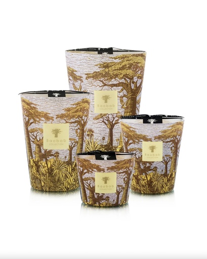 BAOBAB - Bougie SACRED TREES - Cocody